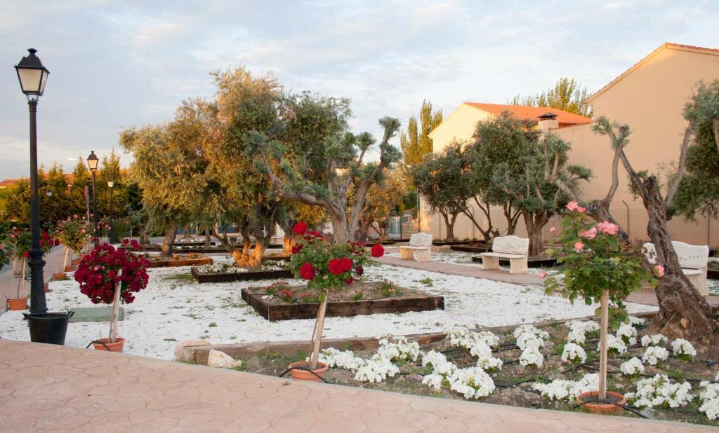 Las Olivas- Borox Aparthotel Sesena Nuevo ภายนอก รูปภาพ